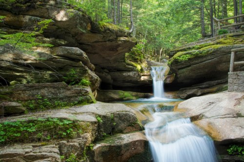 A serene forest scene featuring a gentle waterfall cascading over smooth rocks, surrounded by lush greenery.