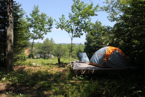 A tent set up on a wooden platform surrounded by trees and greenery, with a clear blue sky above.