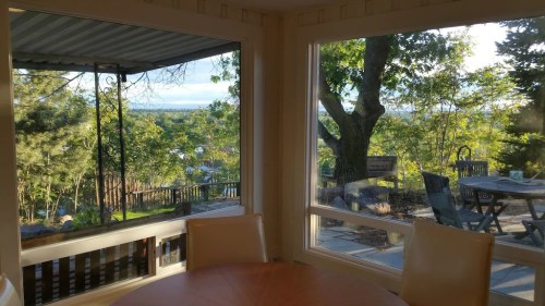 A view from a window showing a scenic outdoor area with trees and a patio table. Bright and sunny atmosphere.