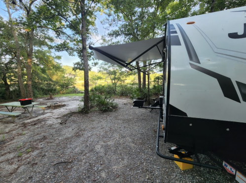 A camper trailer parked in a wooded area with a picnic table and grill nearby, under a clear blue sky.