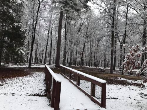 A snowy landscape with a wooden bridge leading into a forest of trees covered in white snow.
