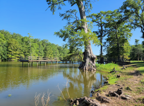 A serene lake scene with a wooden dock, surrounded by lush green trees and clear blue skies.