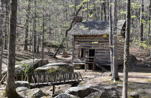 A rustic log cabin nestled among trees, with a small wooden bridge crossing over rocks in a serene forest setting.