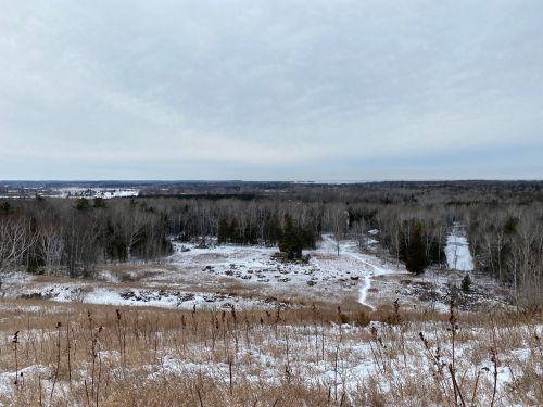 A snowy landscape with trees and a winding path, under a cloudy sky, showcasing a serene winter scene.