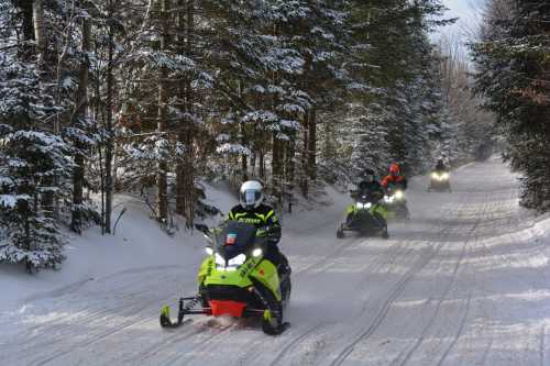 Snowmobiles ride through a snowy forest trail, surrounded by trees, with riders in winter gear.