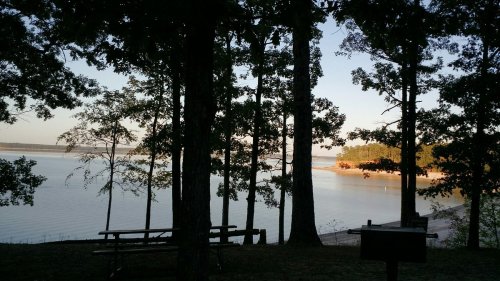 A serene lakeside view framed by tall trees, with calm water reflecting the sky and distant hills.