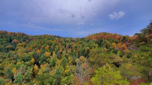 A panoramic view of a vibrant forest in autumn, showcasing colorful foliage against a cloudy sky.