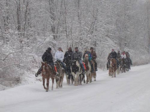 A group of people riding horses along a snowy path, surrounded by trees covered in snow.