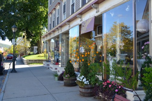 A charming storefront with large windows displaying colorful flowers and plants, set along a tree-lined sidewalk.