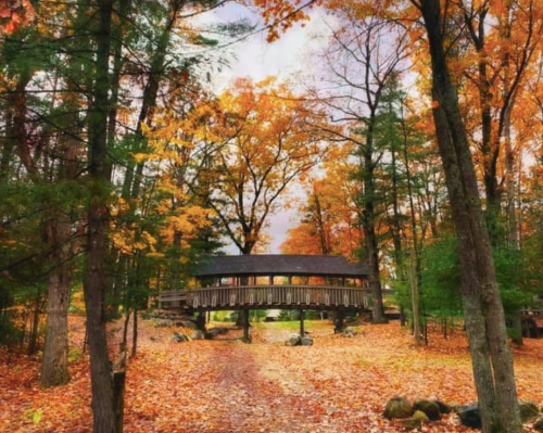 A wooden bridge surrounded by vibrant autumn foliage and fallen leaves in a serene forest setting.
