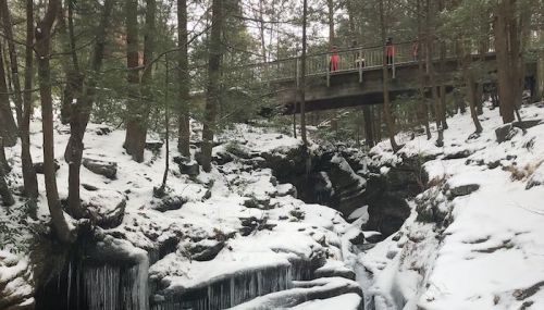 A snowy landscape with a frozen stream and a wooden bridge surrounded by tall trees. Two people stand on the bridge.