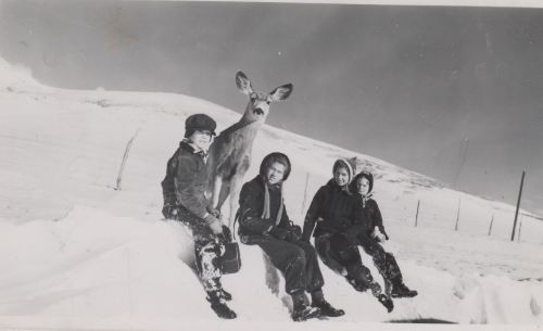 Four children sitting in the snow with a deer nearby, surrounded by a snowy landscape and a clear sky.