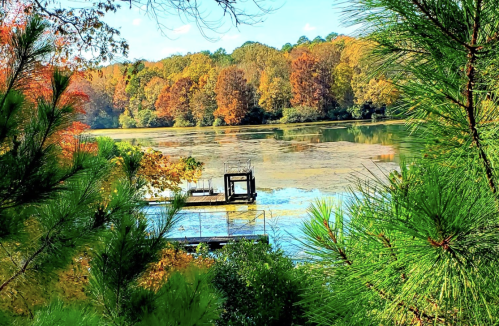 A serene lake surrounded by colorful autumn foliage and a wooden dock, framed by green pine branches.