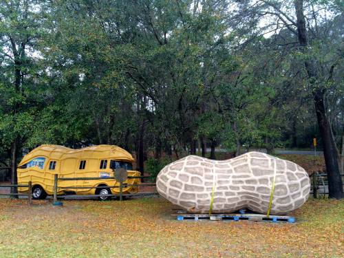 A whimsical peanut-shaped vehicle parked next to a large, sculpted peanut in a grassy area surrounded by trees.