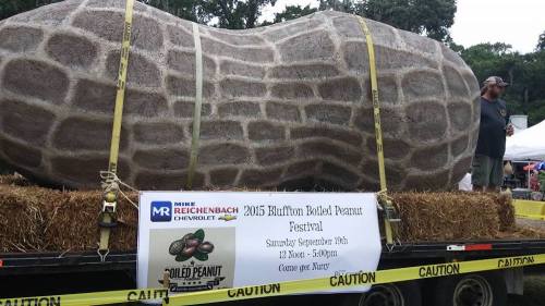A large, peanut-shaped sculpture on a trailer, promoting the 2015 Bluffton Boiled Peanut Festival.