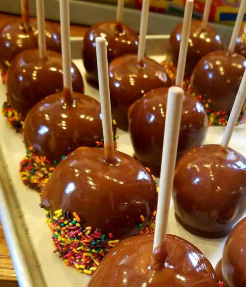 A tray of chocolate-covered caramel apples with colorful sprinkles and wooden sticks.