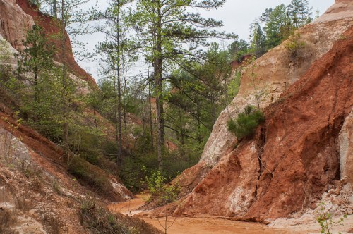 A winding dirt path through a canyon with red and white rock formations and green trees in the background.