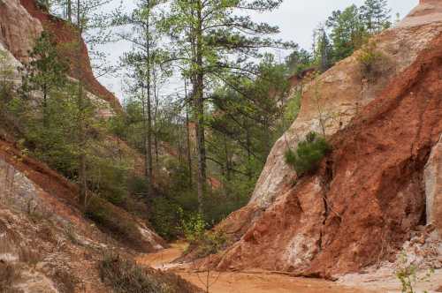 A winding dirt path through a canyon with red and white rock formations and green trees in the background.