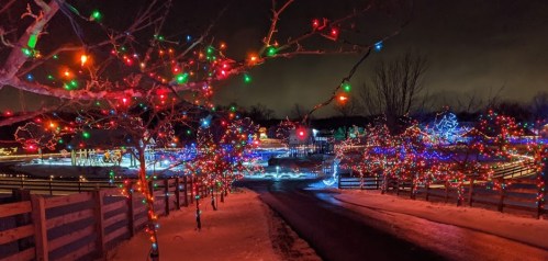 A festive scene of a pathway lined with colorful holiday lights, leading to a beautifully illuminated display in the distance.