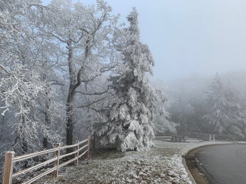 Frost-covered trees and a foggy landscape near a picnic area, with a wooden fence and a winding road.