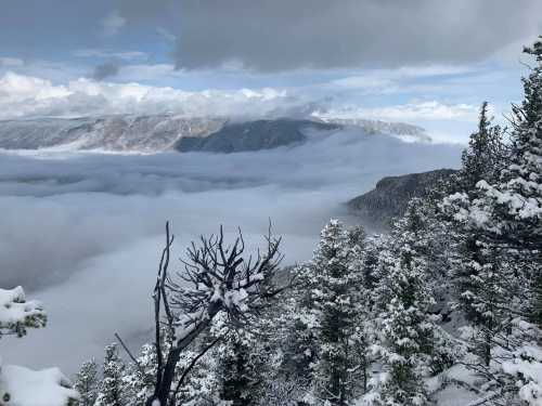 A snowy landscape with trees in the foreground, clouds rolling over mountains in the background under a cloudy sky.