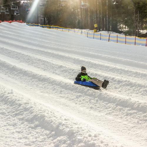 A child in a blue and green sled slides down a snowy hill, surrounded by trees and sunlight.