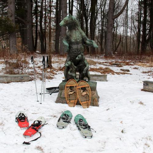 A bear statue stands in a snowy forest, surrounded by snowshoes and trekking poles. Trees are in the background.