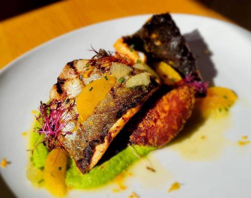 Grilled fish fillet garnished with herbs and citrus, served on a vibrant green puree on a white plate.