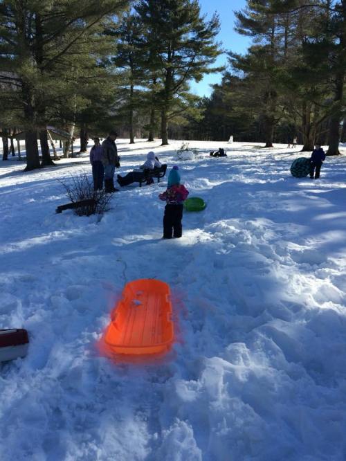 Children and adults enjoying a snowy day, sledding and playing in a winter landscape with trees in the background.