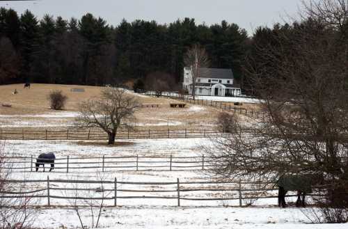 A snowy landscape with a farmhouse, trees, and a fenced pasture, surrounded by evergreen trees in the background.