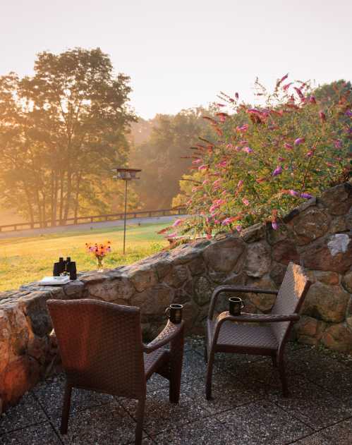 Two wicker chairs with coffee cups sit on a stone patio, surrounded by flowers and a misty morning landscape.