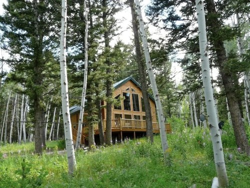 A wooden cabin nestled among tall trees in a lush green forest. Sunlight filters through the leaves.