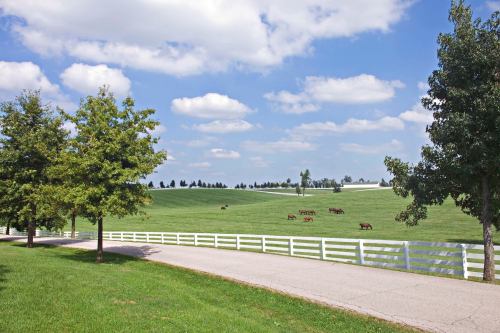 A scenic landscape featuring green fields, a white fence, and grazing horses under a blue sky with fluffy clouds.