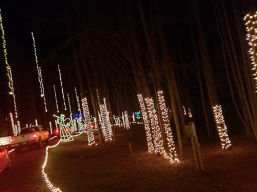 A nighttime scene of a forest path lined with glowing holiday lights and decorations, with cars visible in the background.