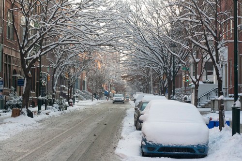 Snow-covered street lined with trees and parked cars, creating a serene winter scene.