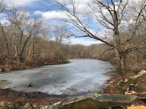 A serene, frozen pond surrounded by bare trees and rocky terrain under a cloudy sky.