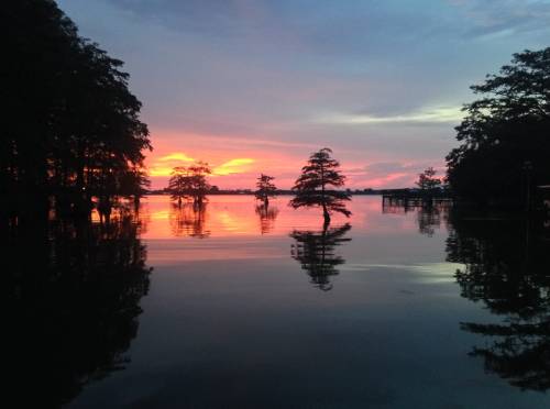 A serene lake at sunset, with silhouetted trees reflecting on the water's surface and vibrant colors in the sky.