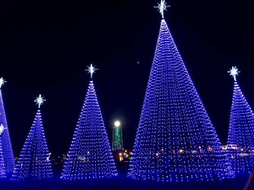 A display of illuminated blue Christmas trees with star toppers, set against a dark night sky.