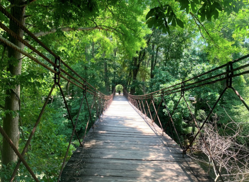 A wooden suspension bridge surrounded by lush green trees and foliage, leading into a serene natural setting.