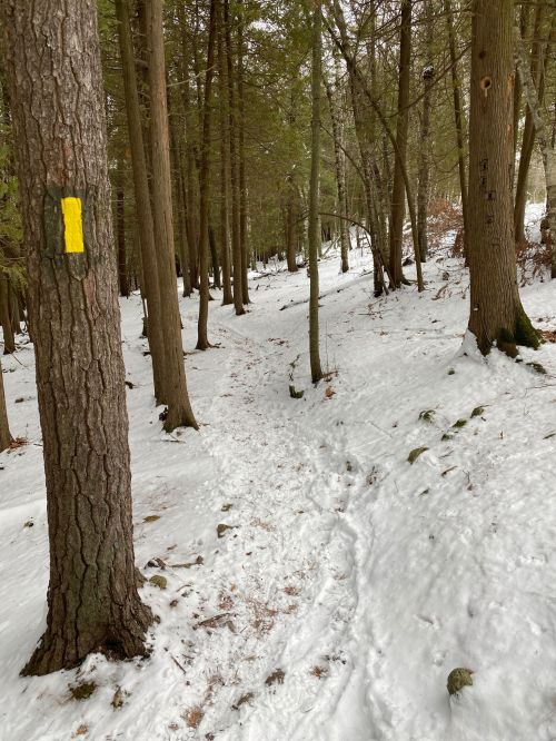A snowy forest path lined with trees, marked by a yellow trail marker on the left.