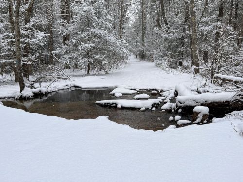 A snowy forest scene with a small creek and snow-covered rocks, surrounded by trees and a winding path.