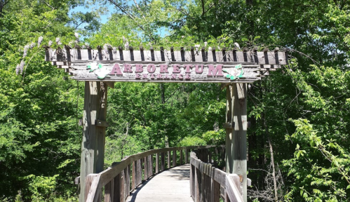Wooden entrance sign reading "Arboretum" above a path leading into a lush green forest.