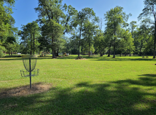 A sunny park scene with lush green grass, trees, and a disc golf basket in the foreground.