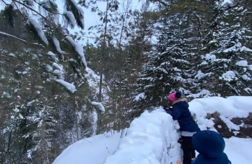 Two children in winter clothing explore a snowy landscape surrounded by tall evergreen trees.