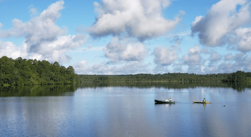 Two kayakers paddle on a calm lake surrounded by lush greenery and fluffy clouds in a blue sky.