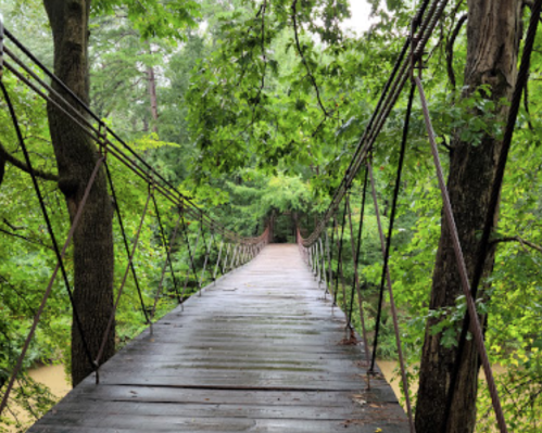 A wooden suspension bridge surrounded by lush green trees, leading into a misty, serene forest.