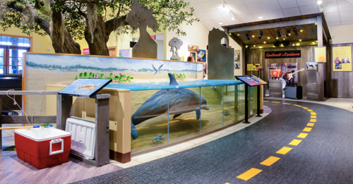A vibrant museum exhibit featuring a large aquarium, interactive displays, and a tree structure in a colorful setting.