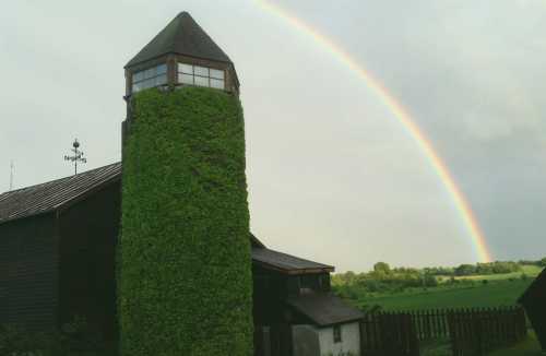 A rustic building covered in greenery with a rainbow arching across a cloudy sky in the background.