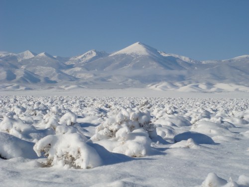 Snow-covered landscape with mountains in the background under a clear blue sky.