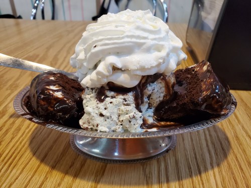 A dessert bowl filled with chocolate ice cream, whipped cream, and chocolate sauce on a wooden table.